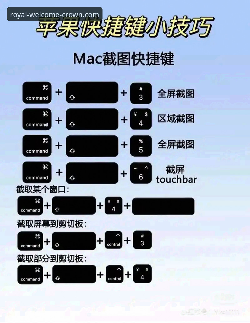 皇冠登陆平台新手使用全面解析：从入门到精通的详细教程